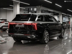 Hongqi E-HS9, 2021 2