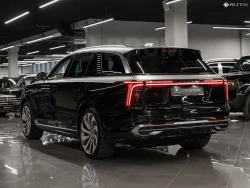 Hongqi E-HS9, 2021 1