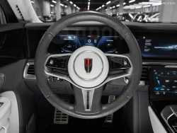 Hongqi E-HS9, 2021 5