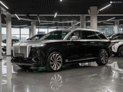 Hongqi E-HS9, 2021 6