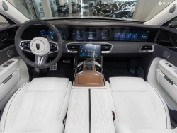 Hongqi E-HS9, 2021 28